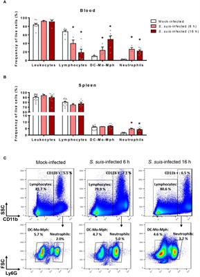 The granulocyte colony-stimulating factor produced during Streptococcus suis infection controls neutrophil recruitment in the blood without affecting bacterial clearance